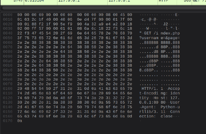 ASCII Art Flag